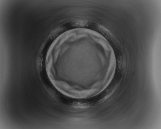 X0000087520739200705251639