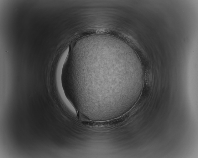 X0000087520740200705251639