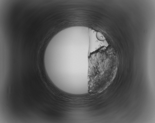 X0000087520742200705251639