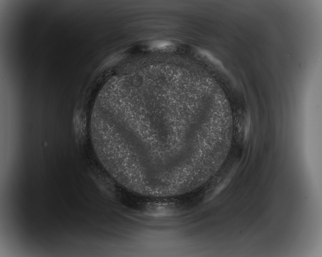 X0000087520745200705251639