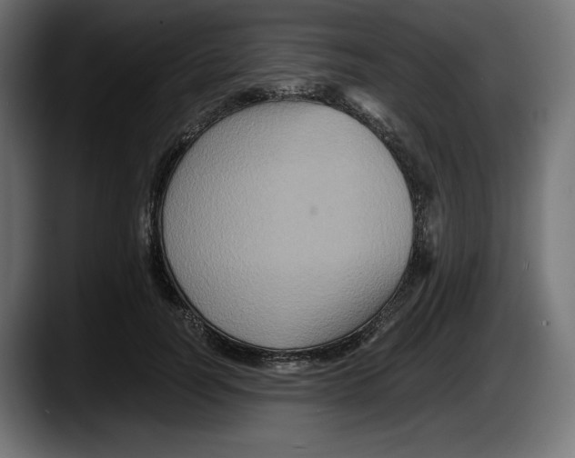 X0000087520746200705251639