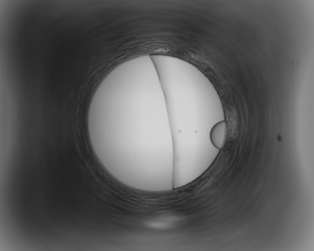 X0000087520747200705251639