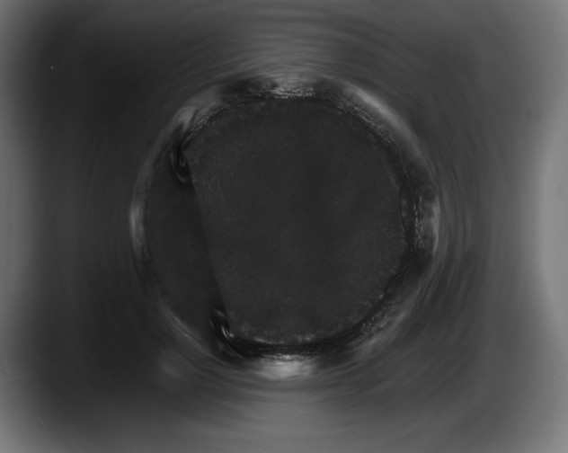 X0000087520748200705251639