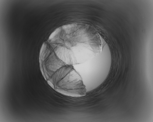 X0000087520749200705251639