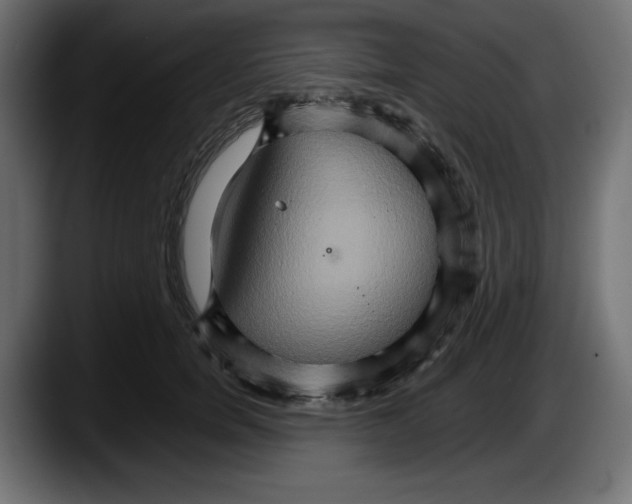 X0000087520750200705251639