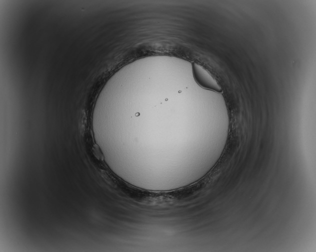 X0000087520752200705251639