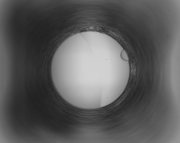 X0000087520754200705251639