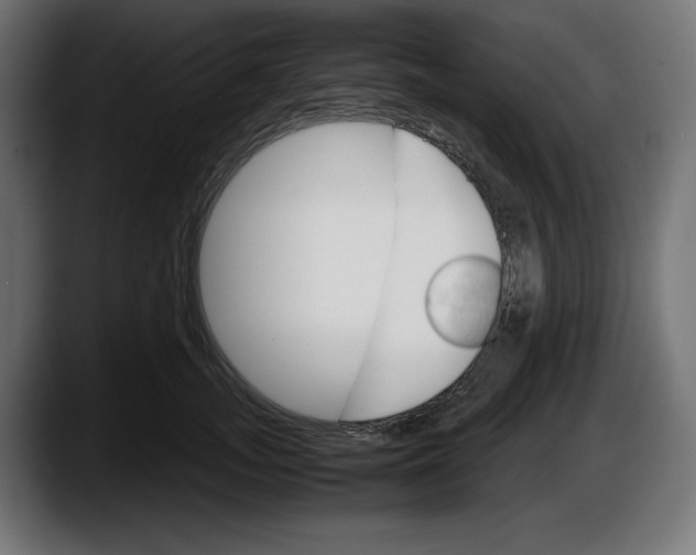 X0000087520755200705251639