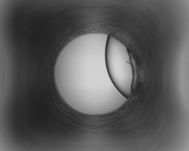 X0000087520756200705251639