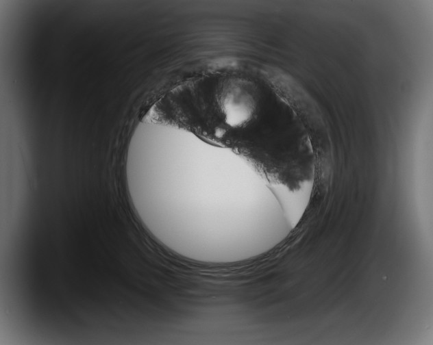 X0000087520758200705251639