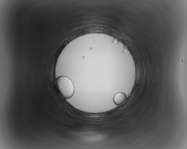 X0000087520759200705251639