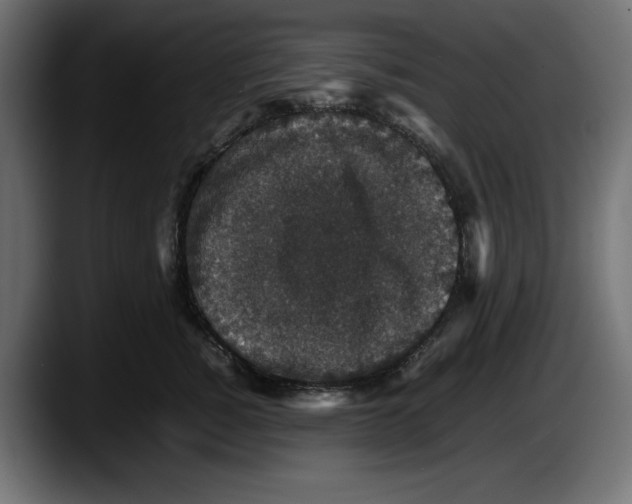 X0000087520760200705251639