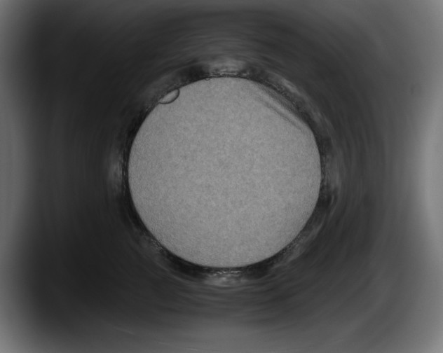 X0000087520761200705251639