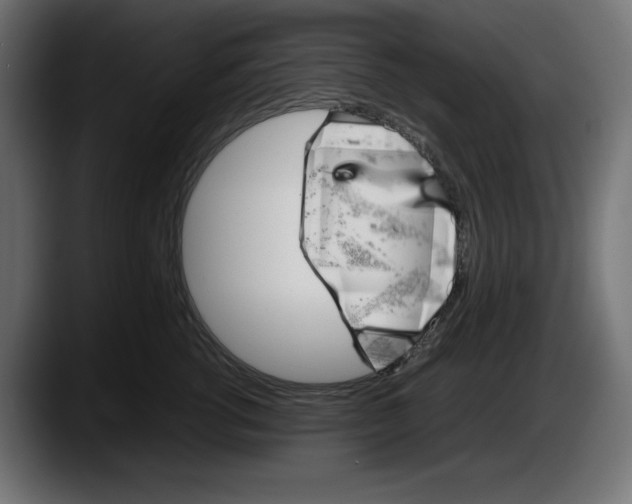 X0000087520762200705251639