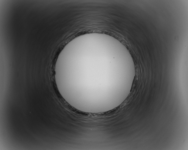 X0000087520764200705251639