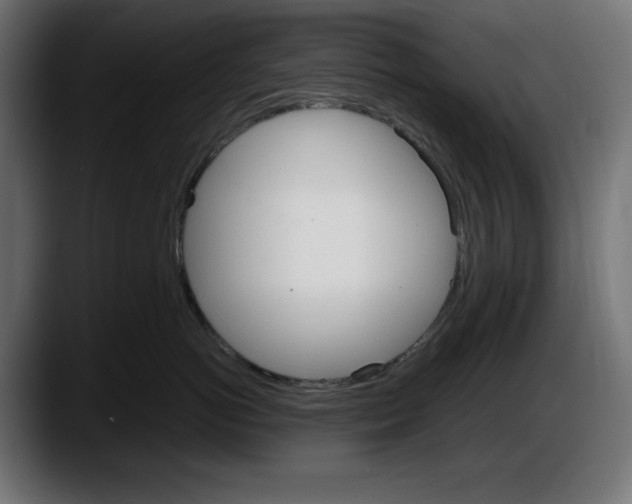 X0000087520766200705251639