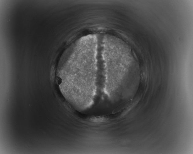 X0000087520767200705251639