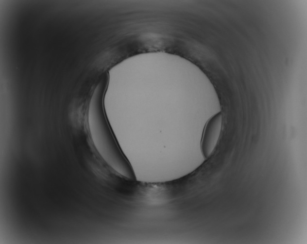 X0000087520768200705251639