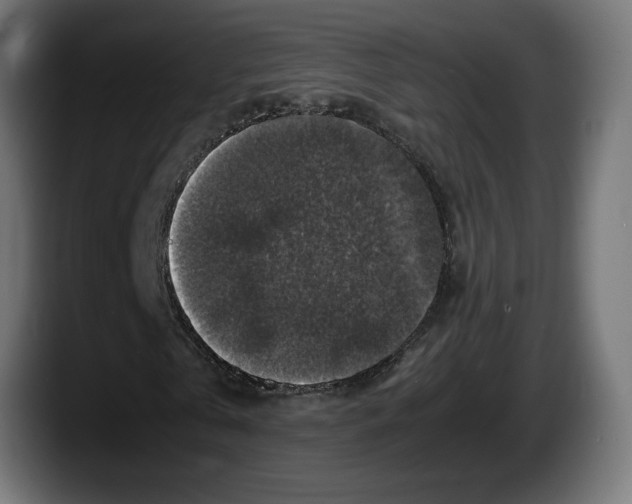 X0000087520769200705251638