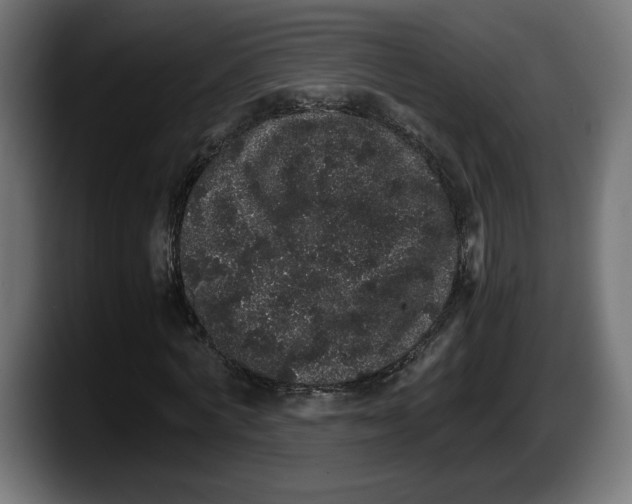 X0000087520772200705251638