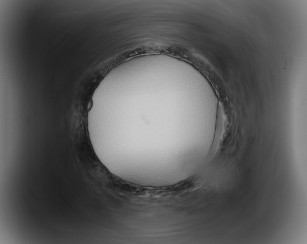 X0000087520773200705251638