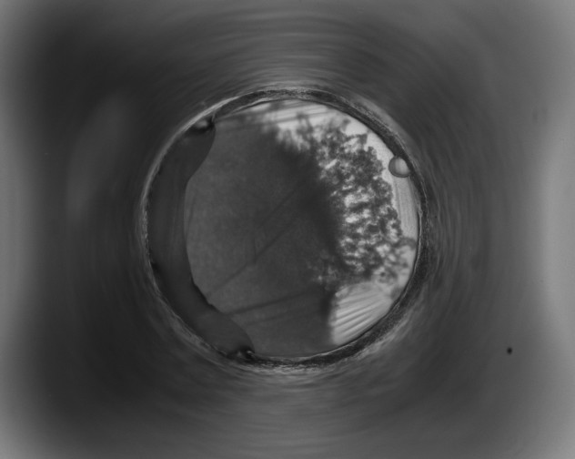 X0000087520779200705251638