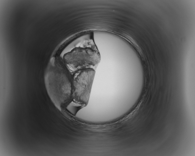 X0000087520780200705251638