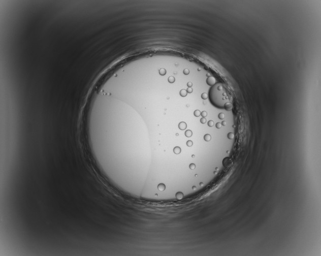 X0000087520782200705251638