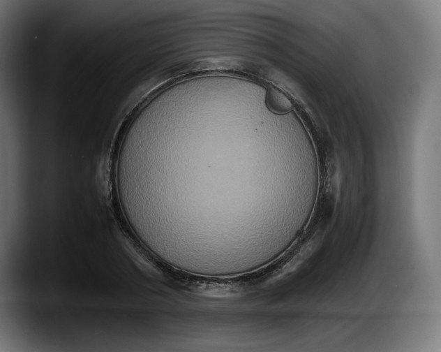 X0000087520786200705251638