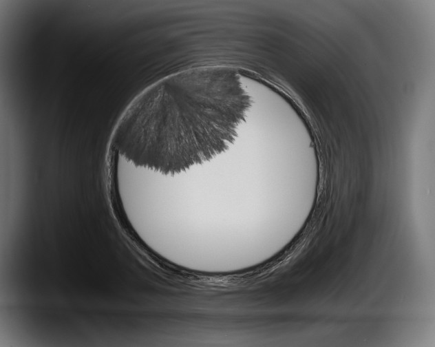 X0000087520787200705251638