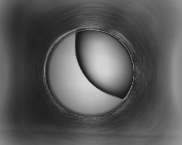 X0000087520788200705251638