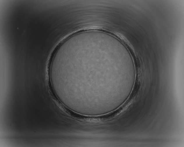 X0000087520789200705251638