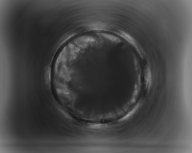 X0000087520790200705251638