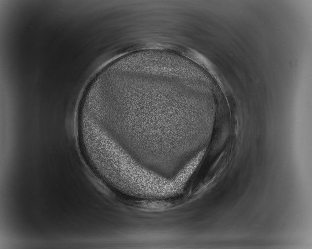 X0000087520795200705251638