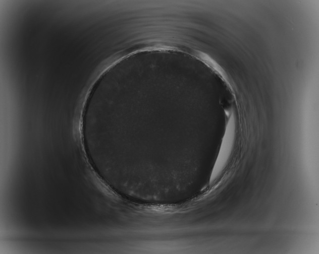 X0000087520797200705251638