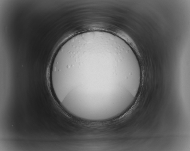 X0000087520798200705251638