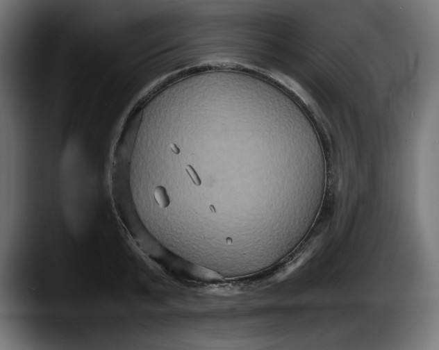 X0000087520799200705251638