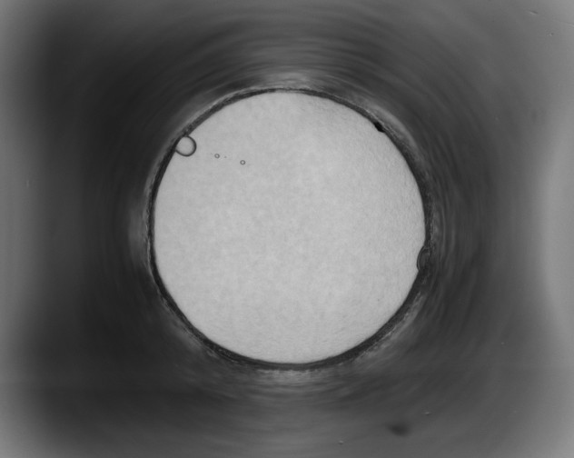 X0000087520800200705251638