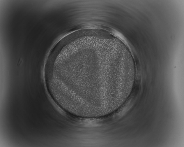 X0000087520803200705251638