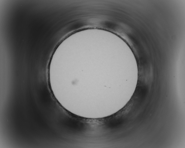 X0000087520807200705251638