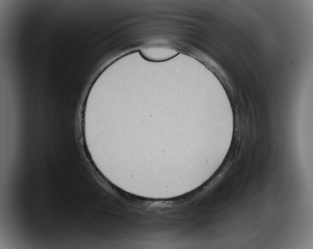 X0000087520808200705251638