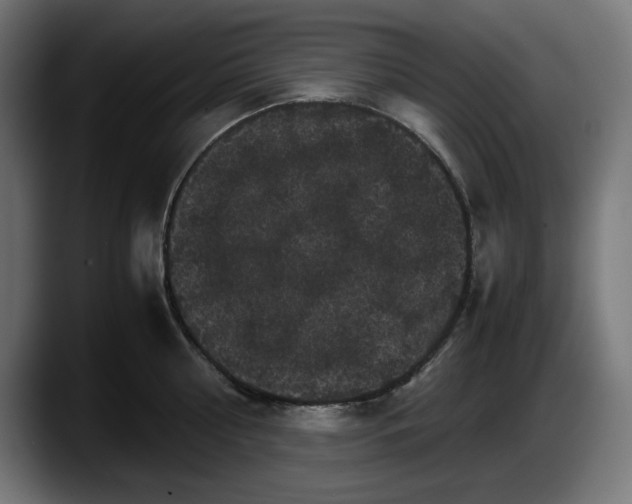 X0000087520810200705251638