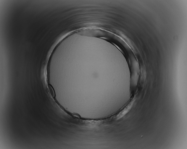 X0000087520812200705251638