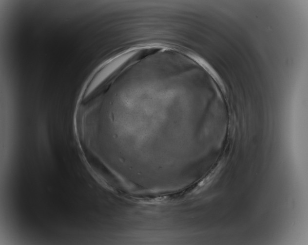 X0000087520813200705251638