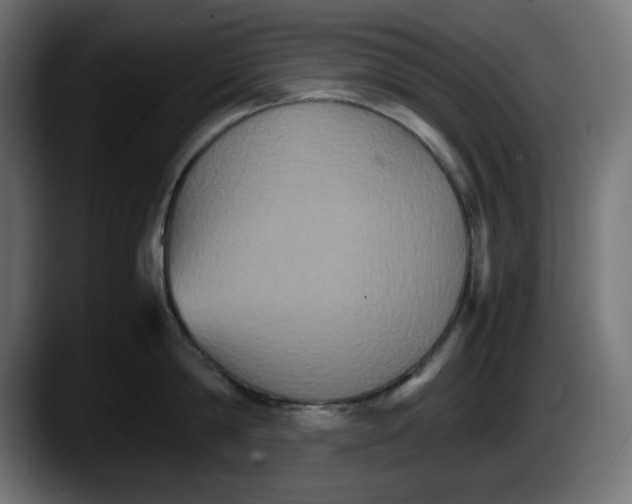 X0000087520814200705251638