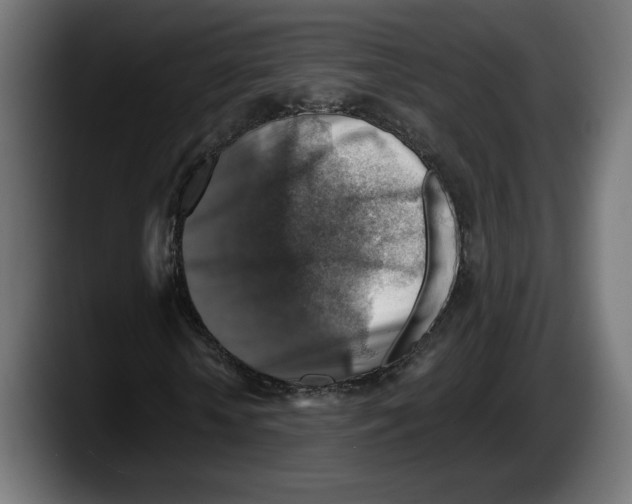 X0000087520818200705251637