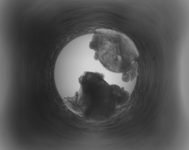 X0000087520819200705251637