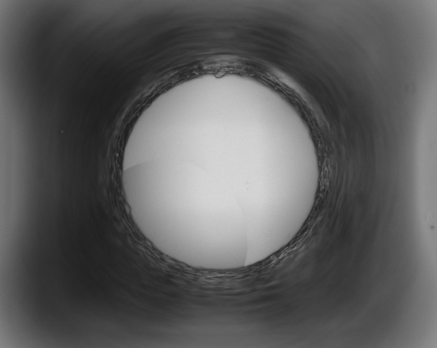 X0000087520823200705251637