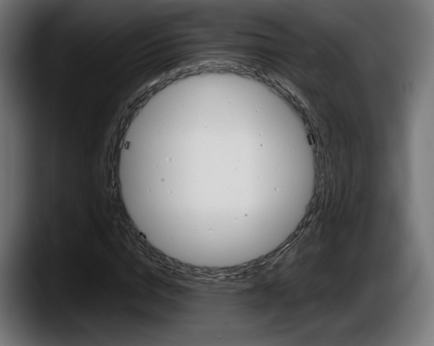 X0000087520824200705251637
