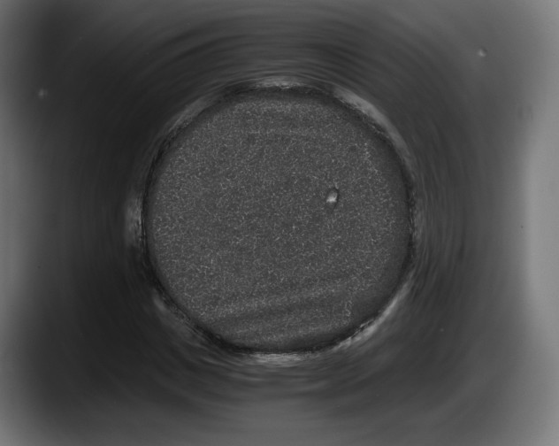 X0000087520825200705251637